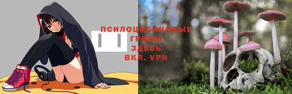 альфа пвп Бугульма