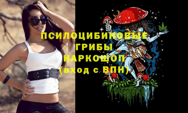 ECSTASY Богданович