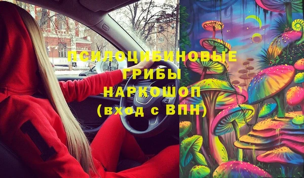 mix Богородск