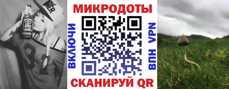 Псилоцибиновые грибы мицелий  blacksprut tor  Демидов 