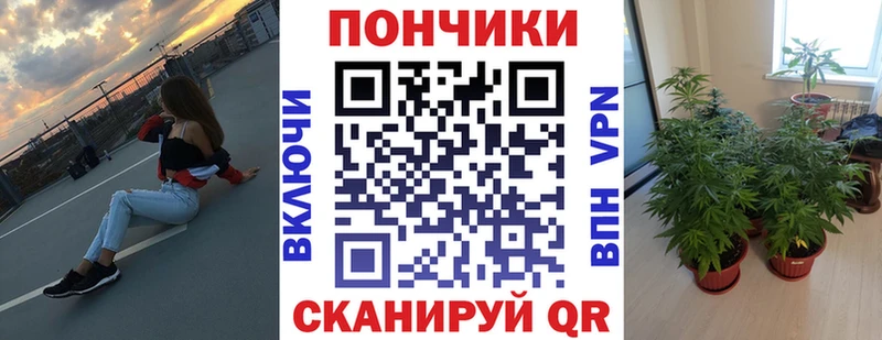 shop телеграм  Демидов  Бошки марихуана гибрид 